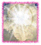 Jesus_in_the_Clouds