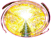 Heaven, City of God, New Jerusalem, from http://www.revelationillustrated.com